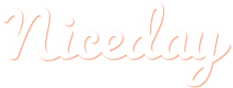 Niceday logo